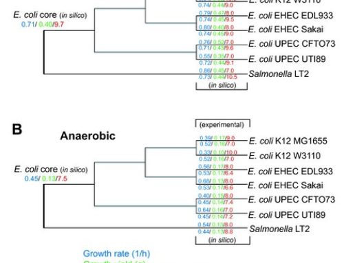 Aerobic and Anaerobic Growth and Metabolism